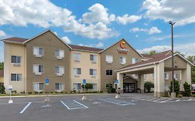 Comfort Suites Auburn Near I-69
